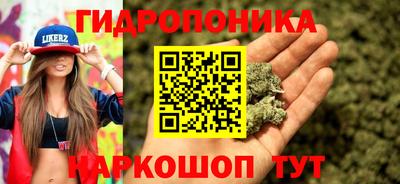 метамфетамин Бердск