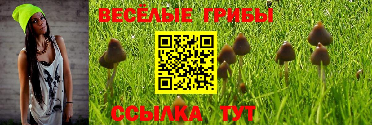Псилоцибиновые грибы прущие грибы  где купить наркоту  Вход с VPN  Йошкар-Ола  Галлюциногенные грибы GOLDEN TEACHER 